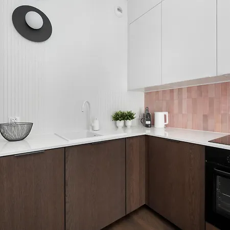 Luksusowe W Centrum Wroclawia Blisko Parku Z Klimatyzacja W Salonie By Renters *