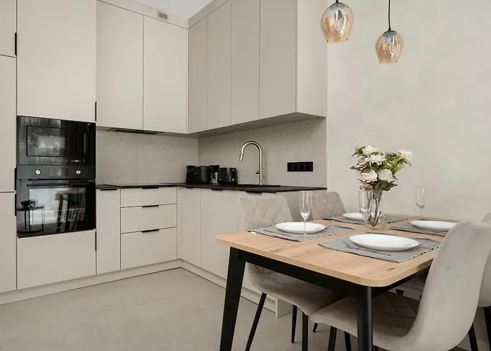 Luksusowe W Centrum Wroclawia Blisko Parku Z Klimatyzacja W Salonie By Renters Apartment *